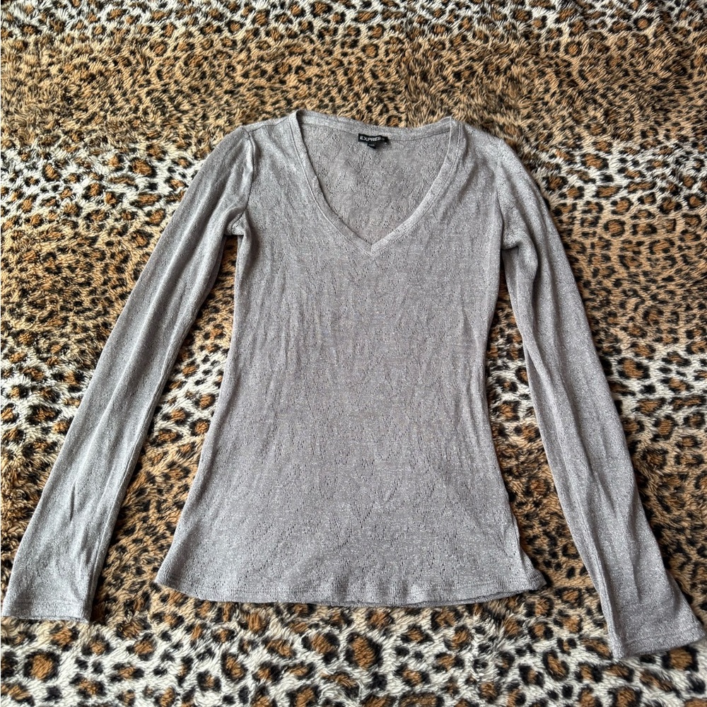 Express Silver Long Sleeve V-Neck Top
